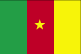 Flag of Cameroon (Click to Enlarge)